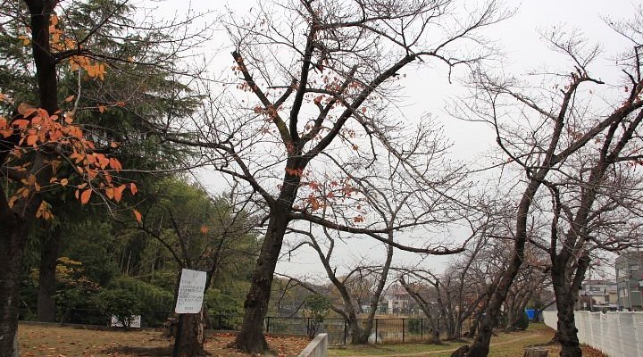 🏛️ 이타스케 고분 (いたすけ古墳) 이미지 5